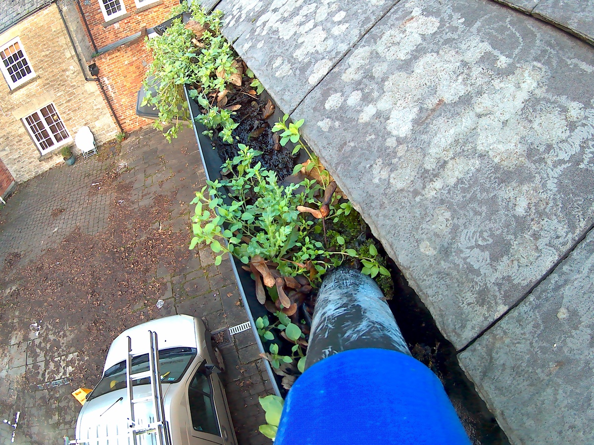 Gutter Cleaning & Repair